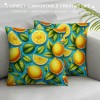 Ulloord pillow Covers Outdoor with Blue Background Farmhouse pillow Cases Decorative Cushion Case for Spring Fall Home Decor Sofa