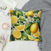 Ulloord  Decorative pillow Covers Summer Tropical Fresh Lemon Pattern with Green Leaves Throw pillow Case Super Soft Yellow Fruits Outdoor Decor Cushion Cases Cover for Sofa Bed