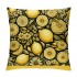 Ulloord Farm Fresh Lemon Throw pillow Covers Summer Lemon Truck Outdoor Farmhouse pillow Cases with Hidden Zipper Decor Home Sofa Bedroom