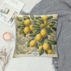 Ulloord  Lemon Throw pillow Covers&nbsp;Tropical Summer Beach Fruit Lemon&nbsp;Decorative pillow Covers Decorative Cushion Cover (Lemon)