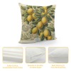 Ulloord  Lemon Throw pillow Covers&nbsp;Tropical Summer Beach Fruit Lemon&nbsp;Decorative pillow Covers Decorative Cushion Cover (Lemon)