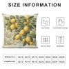 Ulloord  Lemon Throw pillow Covers&nbsp;Tropical Summer Beach Fruit Lemon&nbsp;Decorative pillow Covers Decorative Cushion Cover (Lemon)