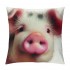 Ulloord pillow Covers Abstract Adorable Funny Animal Pig Throw pillow Covers Square pillowcase Cushion Cover for Home Sofa Couch Car Decoration 