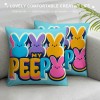 Ulloord Easter pillow Covers Spring Farmhouse Decor My Bunny Trail Holiday Decorations Throw Cushion Case for Home Decorations