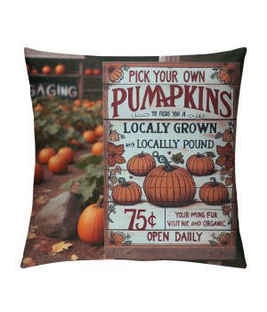 Ulloord Fall Decor pillow Covers Thanksgiving Farmhouse Decorations Orange Pumpkin Outdoor Autumn Decorative Throw Cushion Case for Home Couch