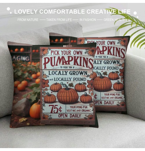 Ulloord Fall Decor pillow Covers Thanksgiving Farmhouse Decorations Orange Pumpkin Outdoor Autumn Decorative Throw Cushion Case for Home Couch