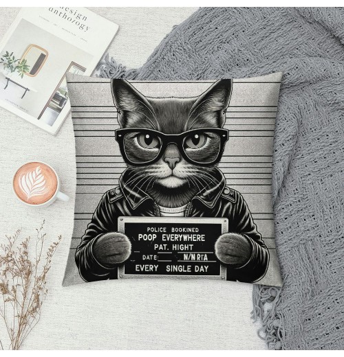 PHYHOO cat Sunglasses Holding Sign Soft Throw pillow Covers Cushion Cover Decor for Sofa Bed Cat Lover Gifts, Cat pillow Cover