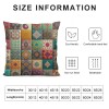 PHYHOO Short Plush pillow Covers,Seamless Double-Sided Print Square Cushion Cases for Sofa Bedroom Car Decorative