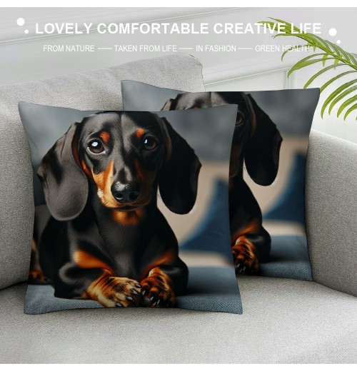 PHYHOO Short Plush pillow Covers,Black Long-Haired Dachshund Dog Double-Sided Print Square Cushion Cases for Sofa Bedroom Car Decorative